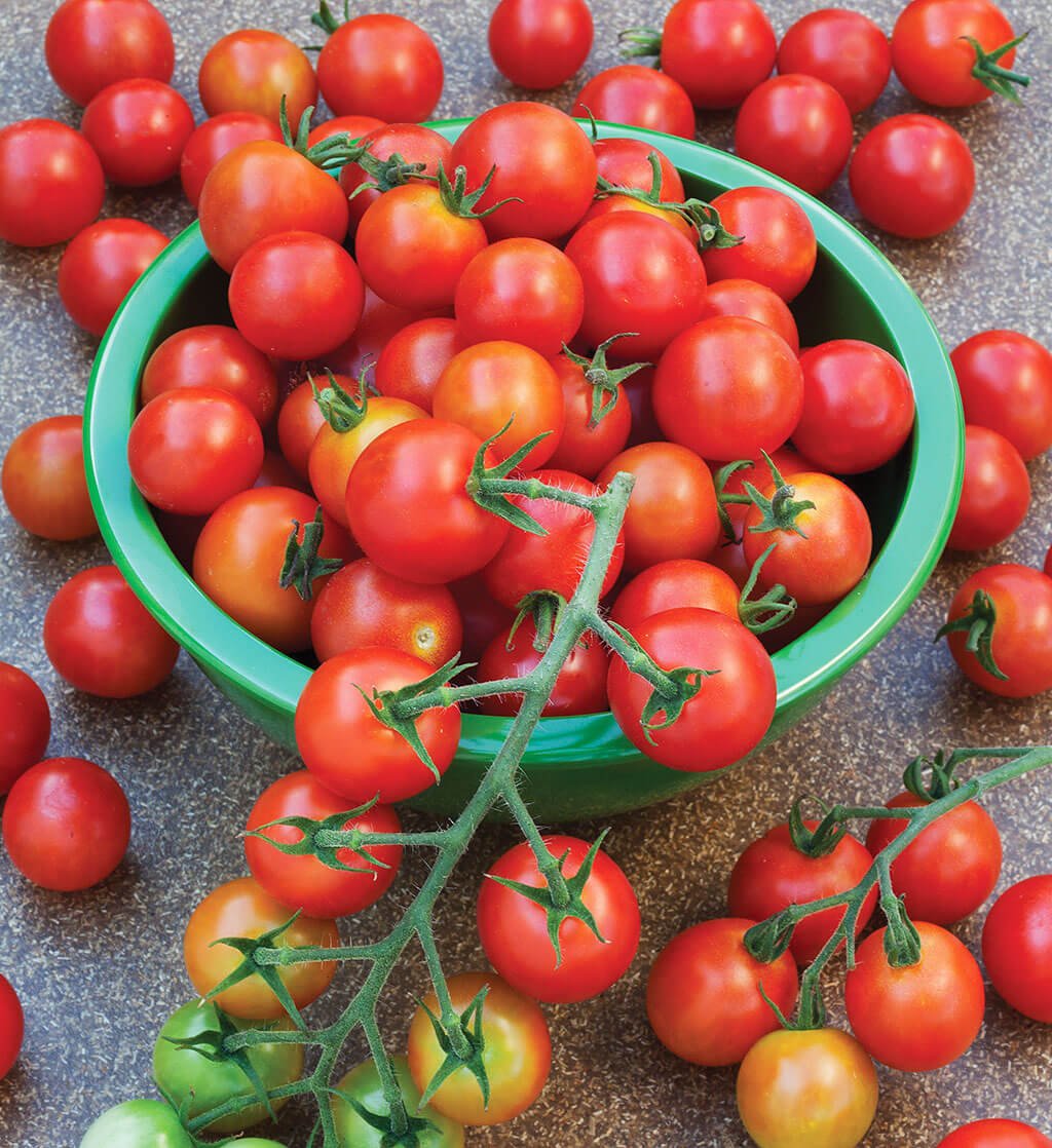 100 Super Sweet Tomatoes: A Burst Of Flavor For Your Garden